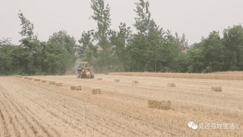 秸秆回收再利用 环保又增效