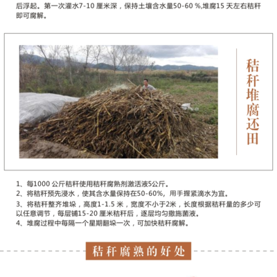 秸秆变废为宝 欧科拜克腐熟剂助力农业废弃物高效堆肥还田